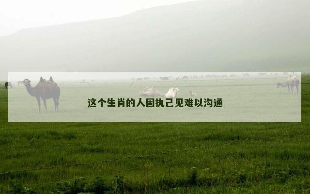 这个生肖的人固执己见难以沟通