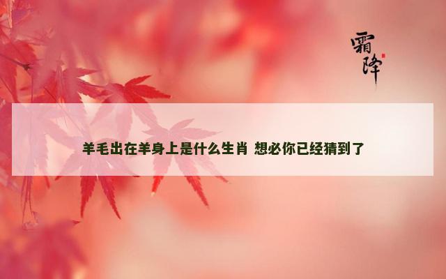 羊毛出在羊身上是什么生肖 想必你已经猜到了