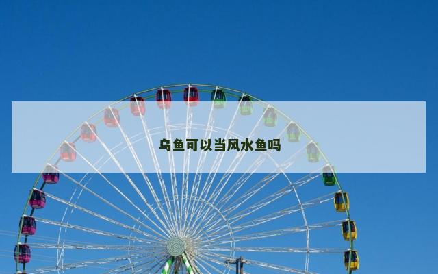 乌鱼可以当风水鱼吗