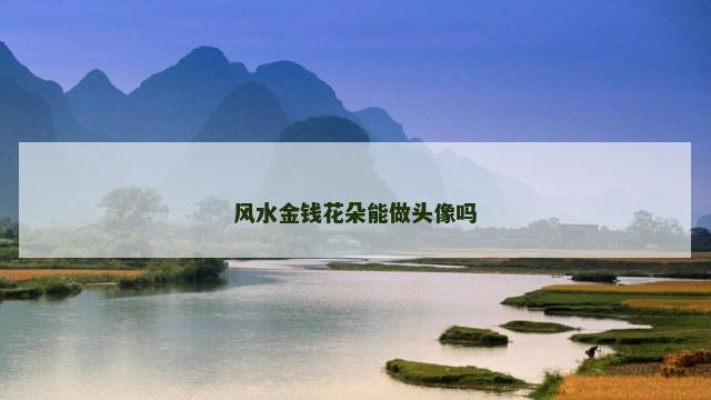 风水金钱花朵能做头像吗
