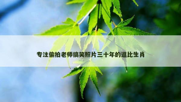 专注偷拍老师搞笑照片三十年的逗比生肖