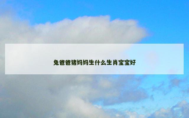 兔爸爸猪妈妈生什么生肖宝宝好