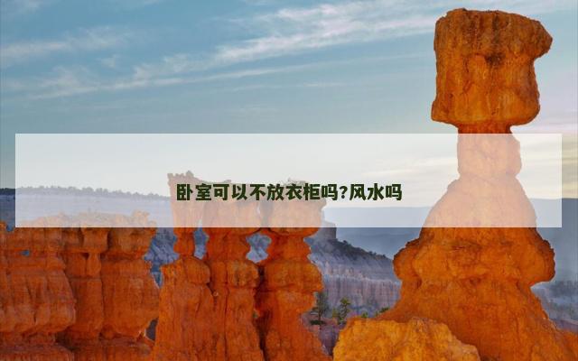 卧室可以不放衣柜吗?风水吗