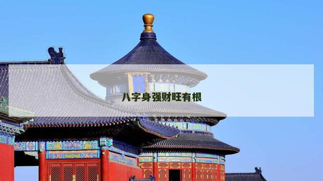 八字身强财旺有根