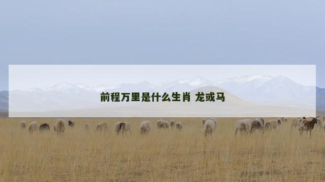 前程万里是什么生肖 龙或马