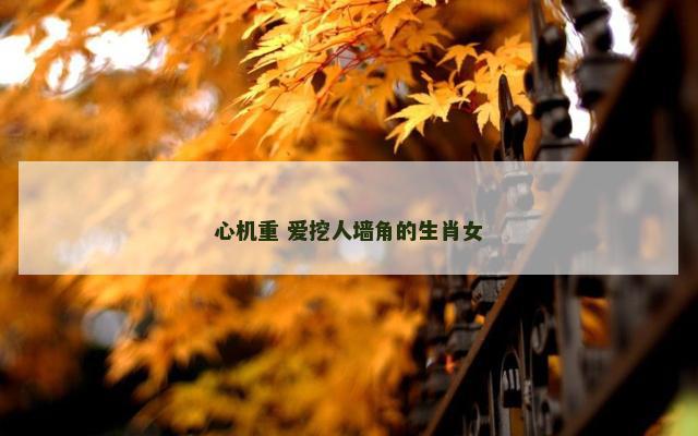 心机重 爱挖人墙角的生肖女