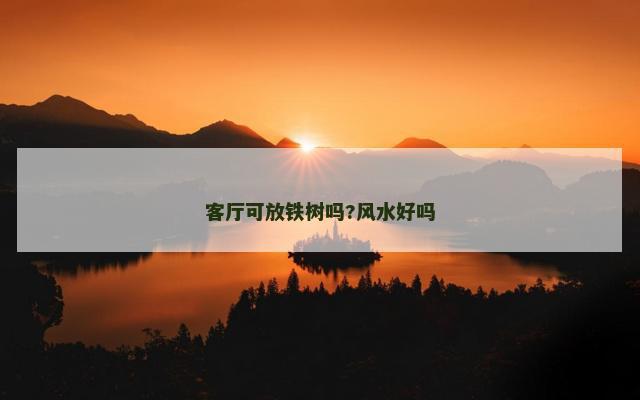 客厅可放铁树吗?风水好吗