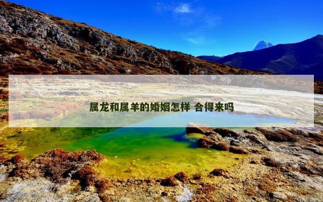 属龙和属羊的婚姻怎样 合得来吗