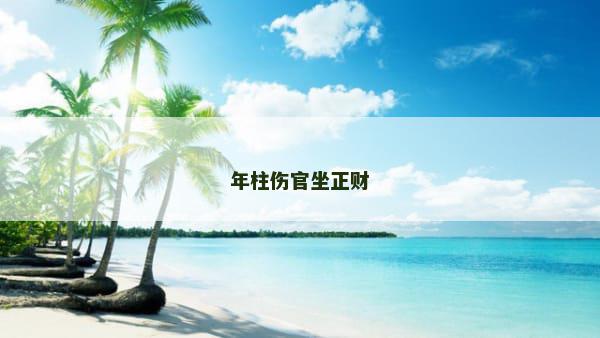 年柱伤官坐正财