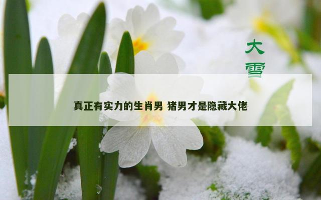 真正有实力的生肖男 猪男才是隐藏大佬