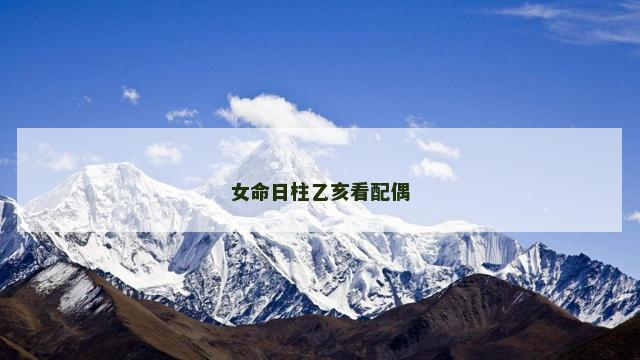 女命日柱乙亥看配偶