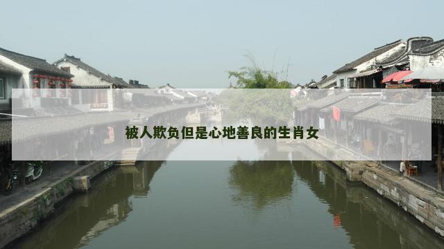 被人欺负但是心地善良的生肖女