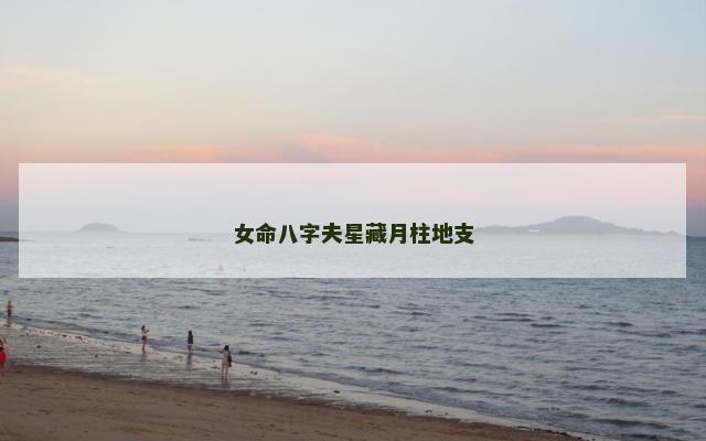 女命八字夫星藏月柱地支
