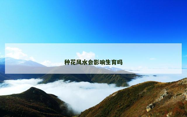 种花风水会影响生育吗