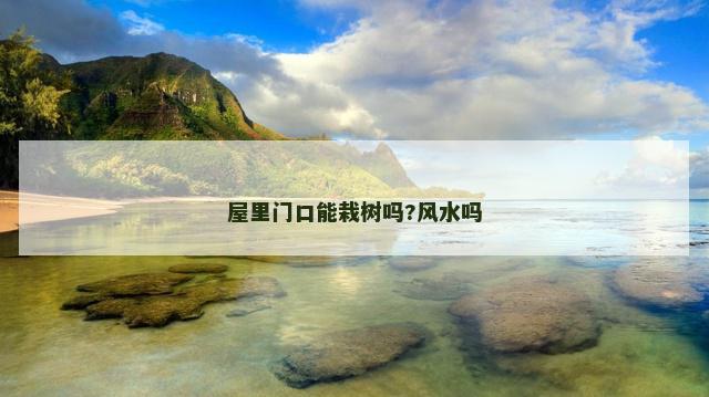 屋里门口能栽树吗?风水吗