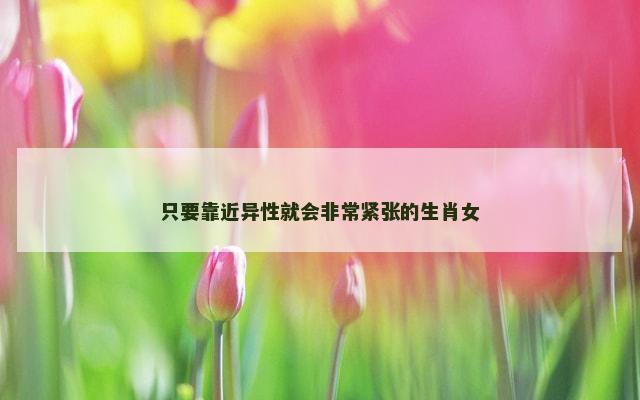 只要靠近异性就会非常紧张的生肖女