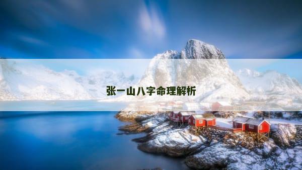 张一山八字命理解析