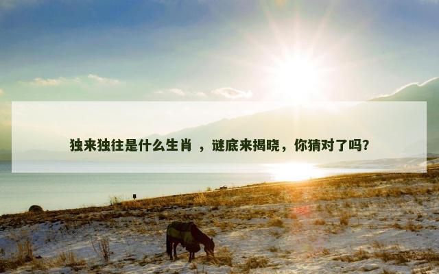 独来独往是什么生肖 ，谜底来揭晓，你猜对了吗？