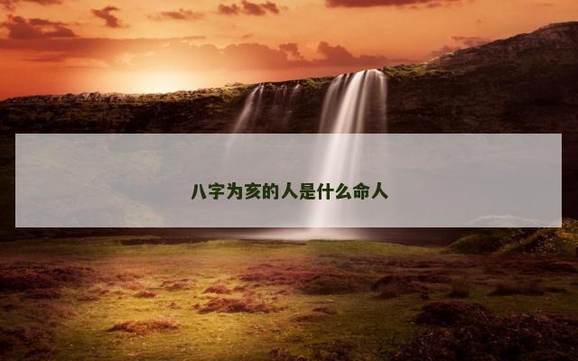 八字为亥的人是什么命人