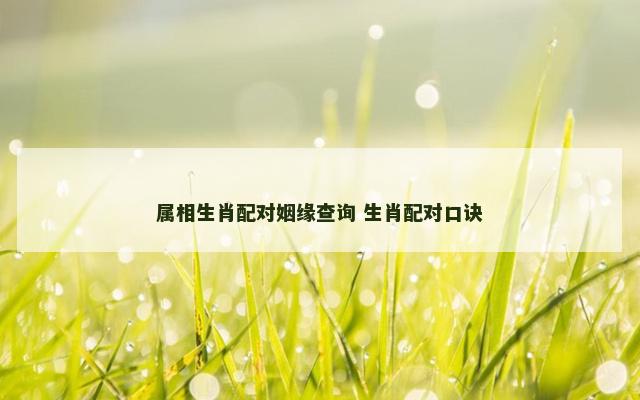 属相生肖配对姻缘查询 生肖配对口诀