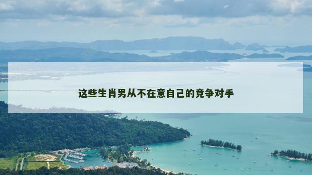 这些生肖男从不在意自己的竞争对手