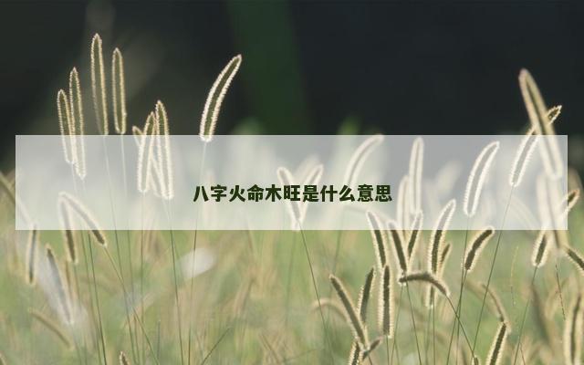 八字火命木旺是什么意思