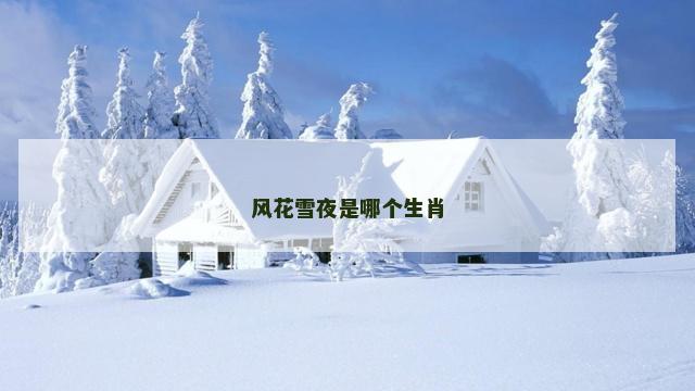 风花雪夜是哪个生肖