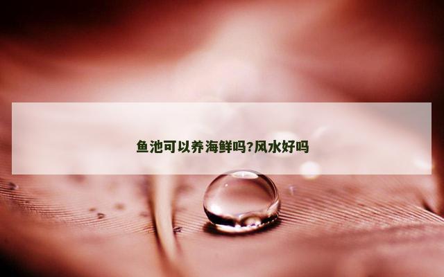 鱼池可以养海鲜吗?风水好吗
