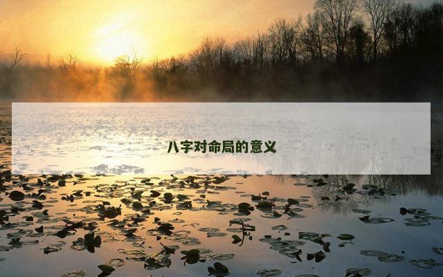 八字对命局的意义