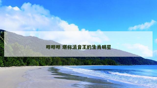哔哔哔 堪称消音王的生肖明星