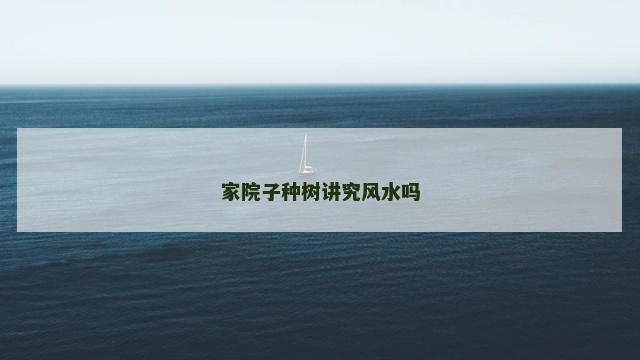 家院子种树讲究风水吗