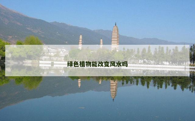 绿色植物能改变风水吗