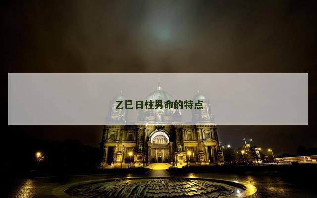 乙巳日柱男命的特点