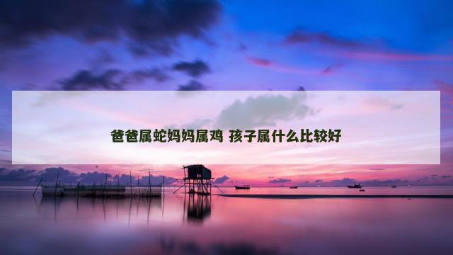 爸爸属蛇妈妈属鸡 孩子属什么比较好