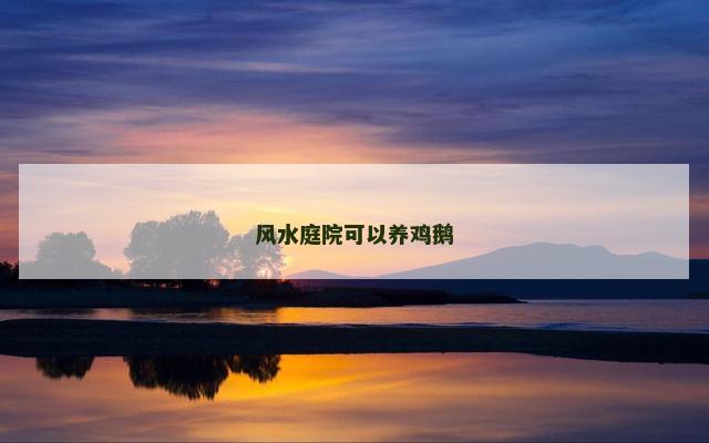 风水庭院可以养鸡鹅