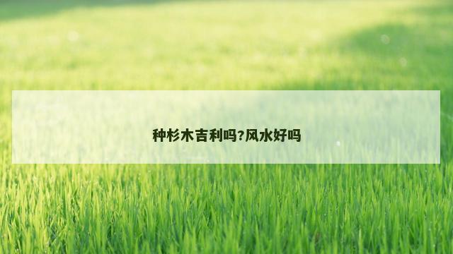 种杉木吉利吗?风水好吗