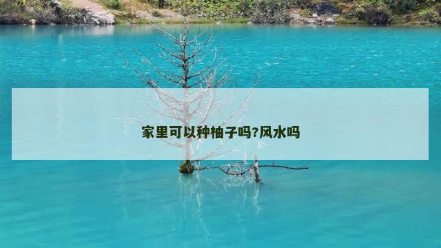 家里可以种柚子吗?风水吗