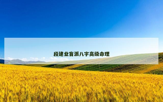 段建业盲派八字高级命理