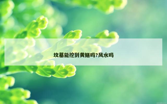 坟墓能挖到黄鳝吗?风水吗