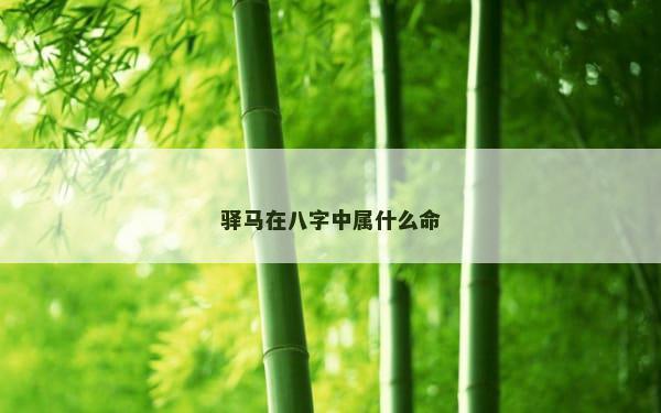 驿马在八字中属什么命