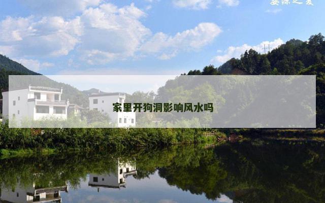家里开狗洞影响风水吗