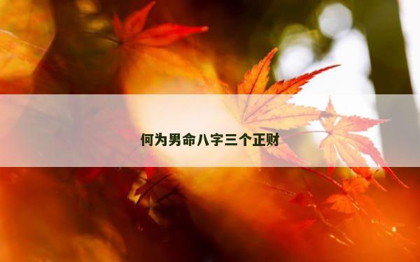 何为男命八字三个正财