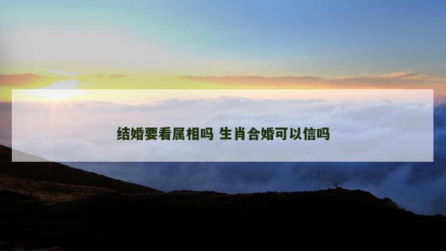 结婚要看属相吗 生肖合婚可以信吗