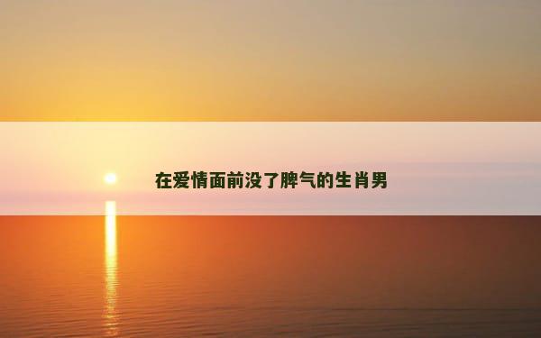 在爱情面前没了脾气的生肖男