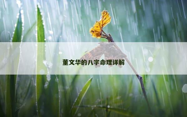 董文华的八字命理详解