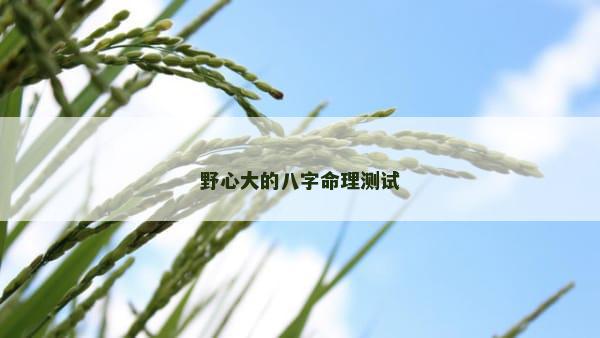 野心大的八字命理测试