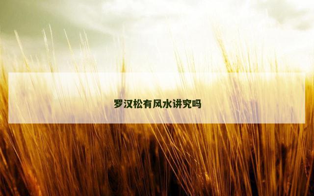 罗汉松有风水讲究吗