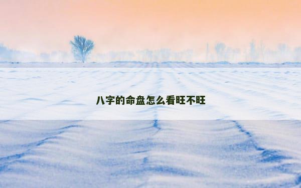 八字的命盘怎么看旺不旺