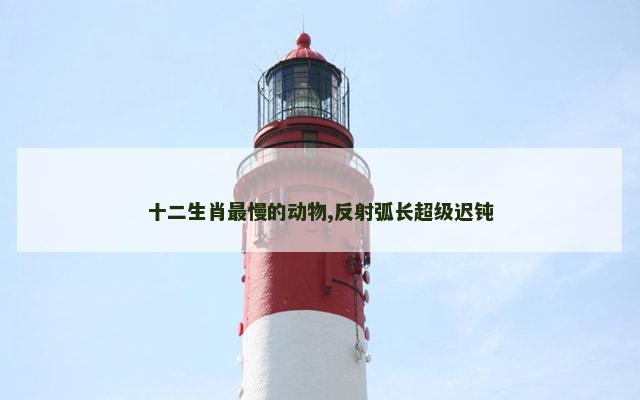 十二生肖最慢的动物,反射弧长超级迟钝