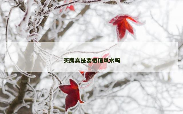 买房真是要相信风水吗